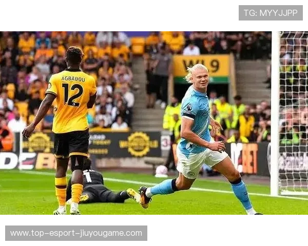 十轮惊魂：英超四帅下课潮下的生存危机，狼队垫底与佩雷拉引发的连锁震荡